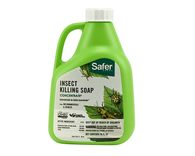 Botella Miticida 10L